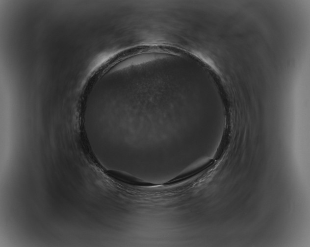 X0000086881311200704161212