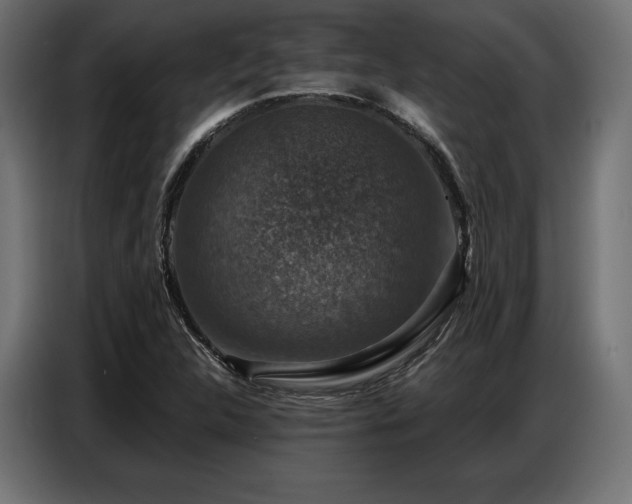 X0000086881312200704161212