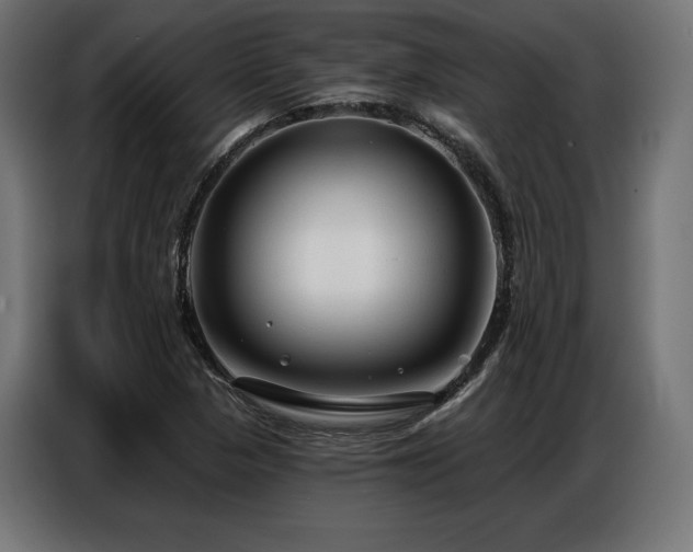 X0000086881313200704161212