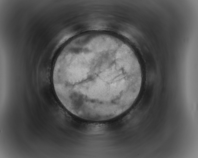 X0000086881314200704161212