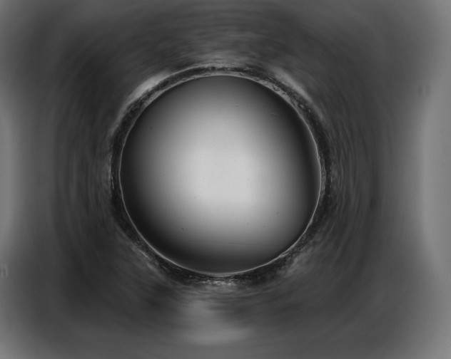 X0000086881315200704161212