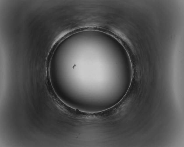 X0000086881316200704161212