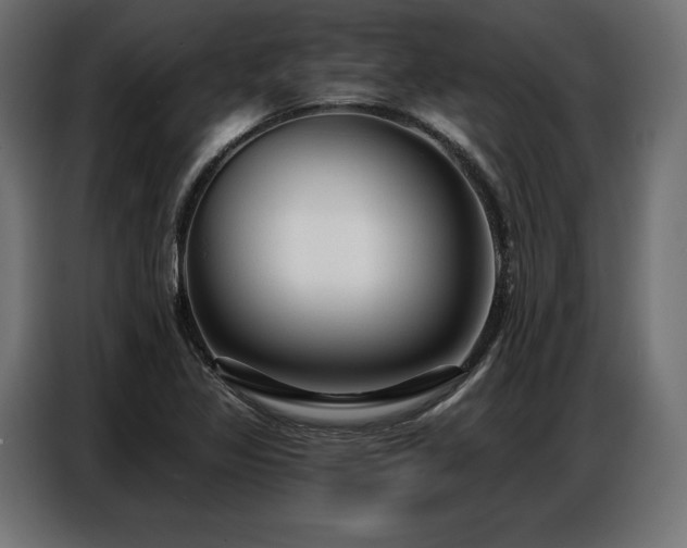 X0000086881317200704161212