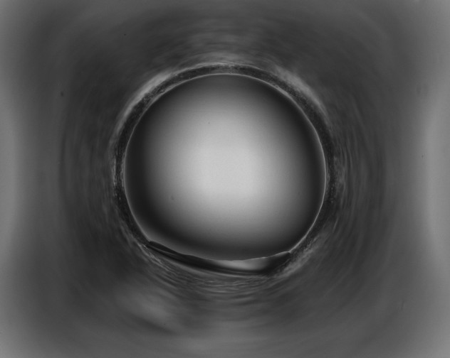 X0000086881318200704161212