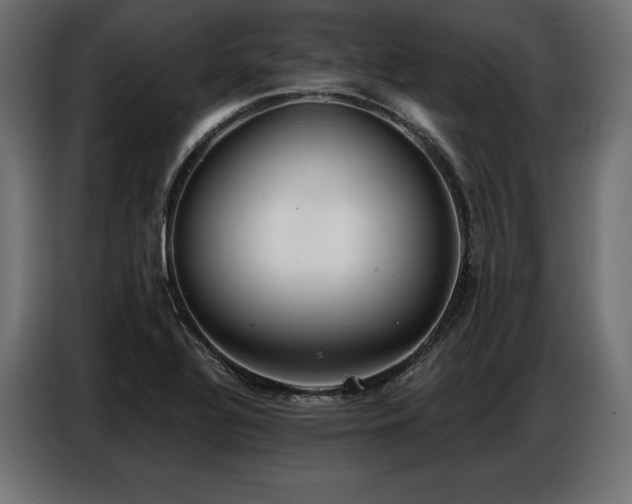 X0000086881320200704161212