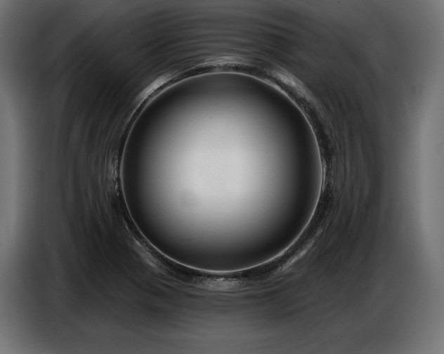 X0000086881321200704161212