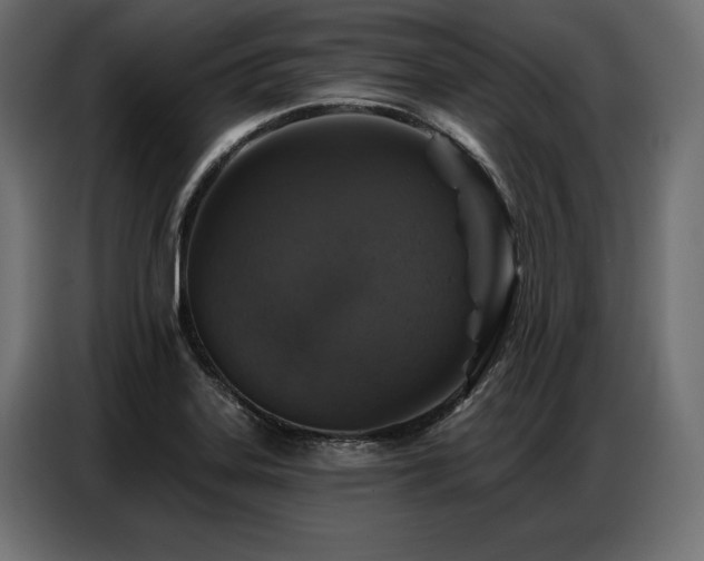 X0000086881323200704161212