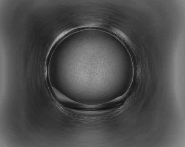 X0000086881324200704161212