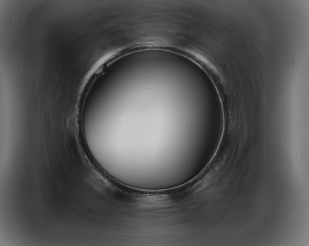 X0000086881325200704161212