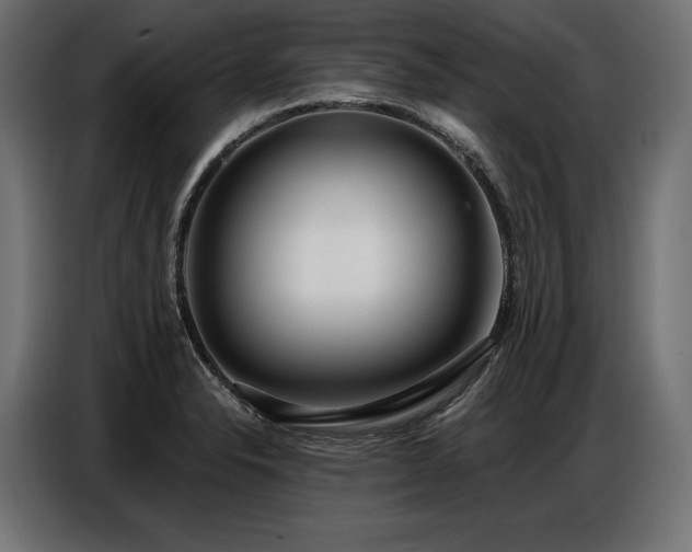 X0000086881326200704161212