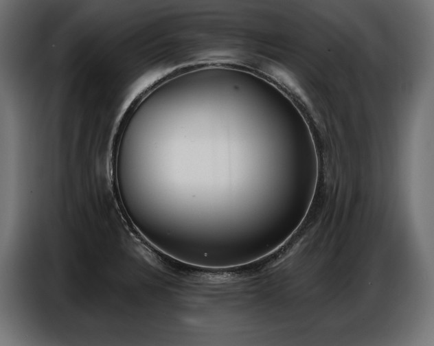 X0000086881328200704161212