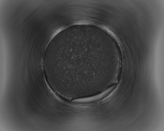 X0000086881329200704161212