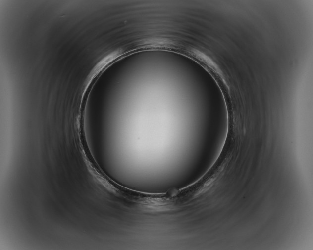 X0000086881330200704161212