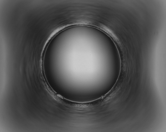 X0000086881332200704161212