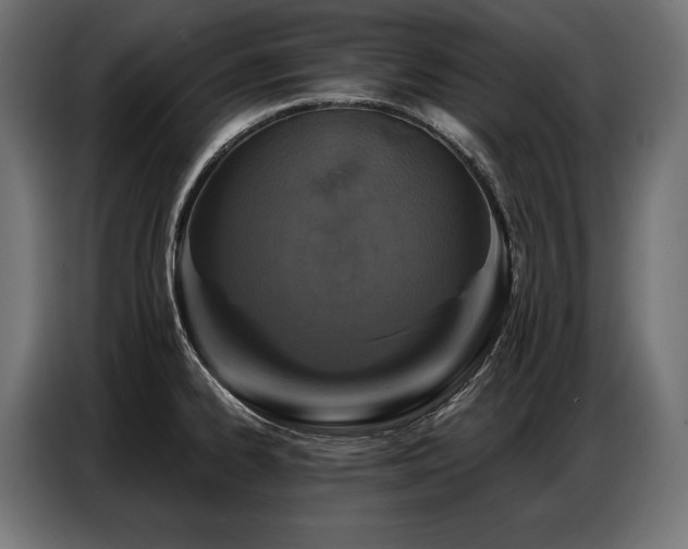 X0000086881334200704161212