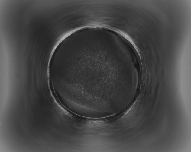 X0000086881335200704161212