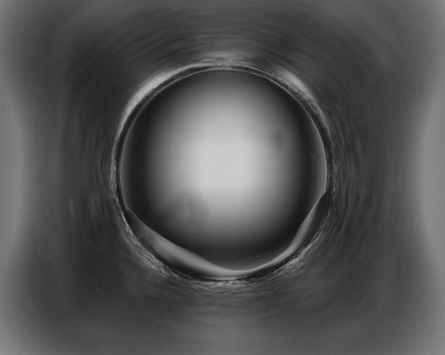 X0000086881336200704161212