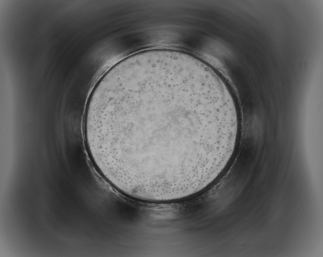 X0000086881338200704161212