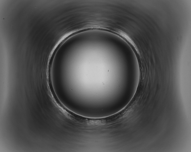 X0000086881339200704161212