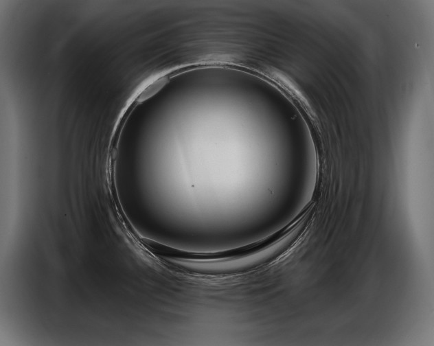 X0000086881340200704161212