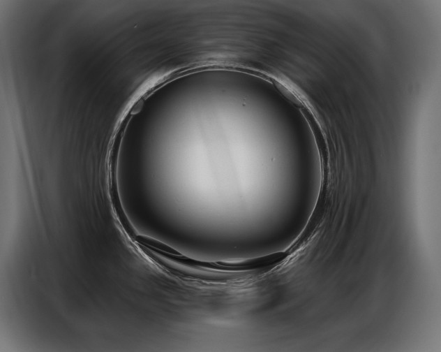 X0000086881341200704161212