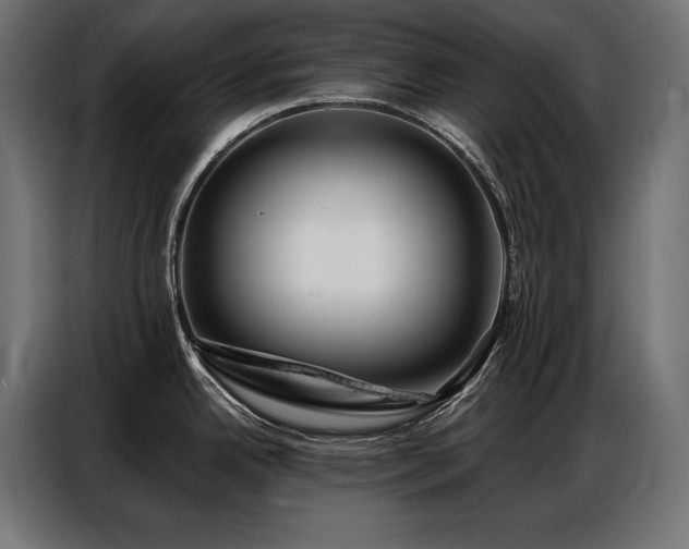 X0000086881342200704161212