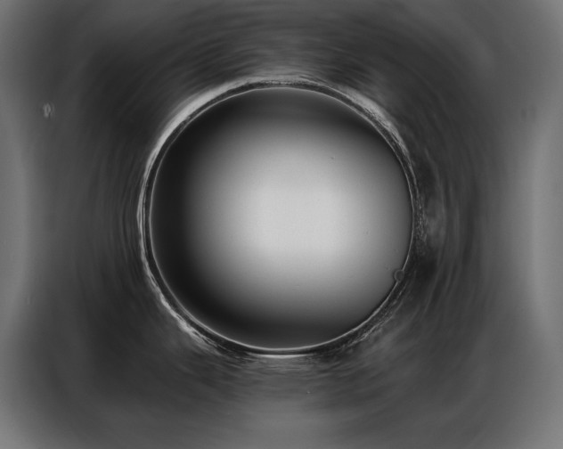 X0000086881343200704161212