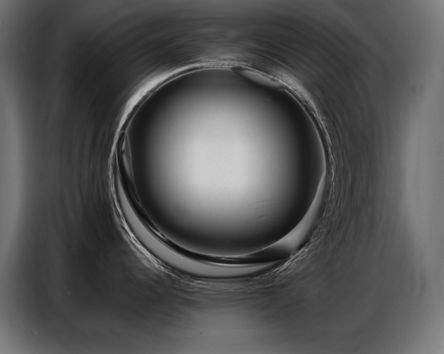 X0000086881344200704161212