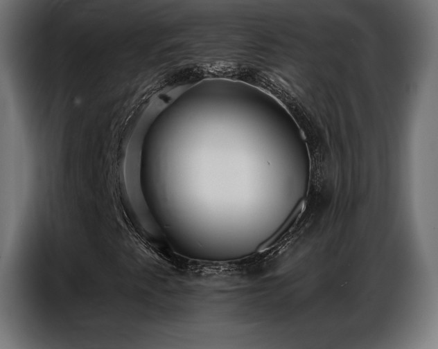 X0000086881345200704161212