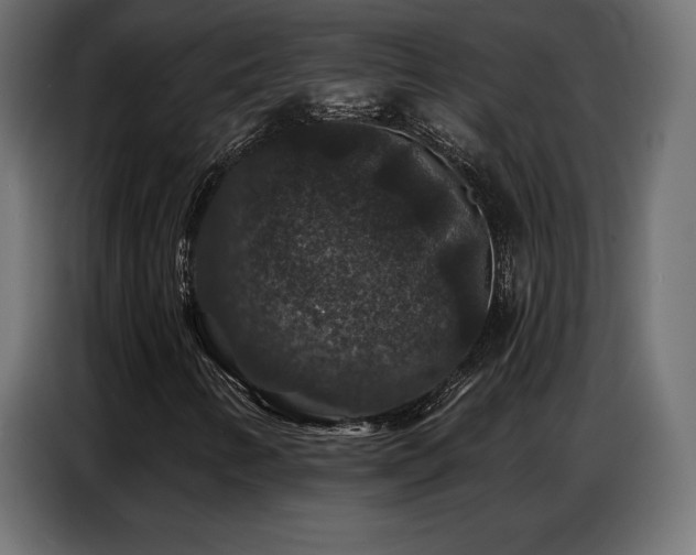 X0000086881346200704161212