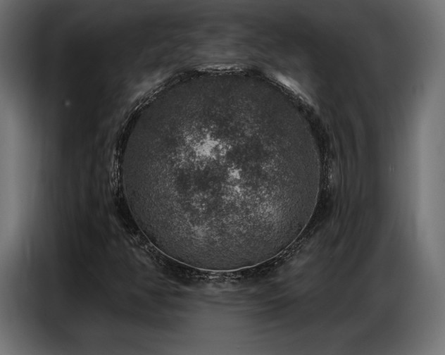 X0000086881350200704161212