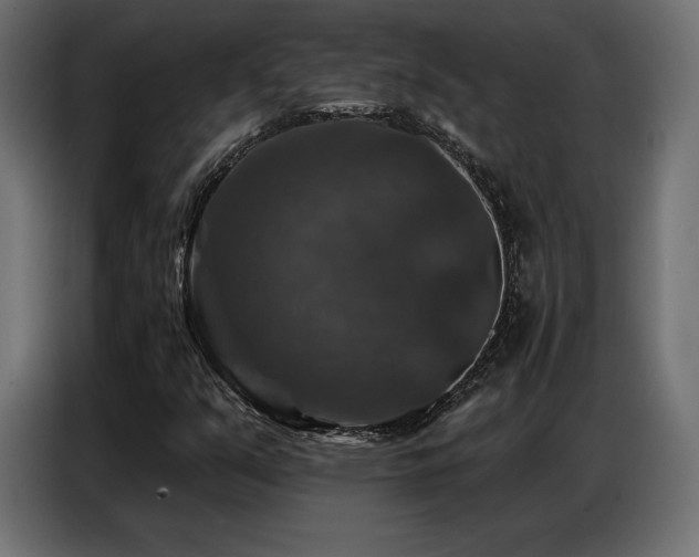 X0000086881351200704161212