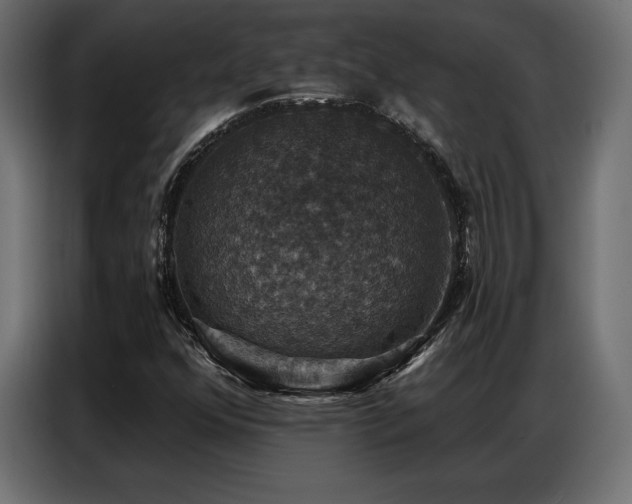 X0000086881352200704161212