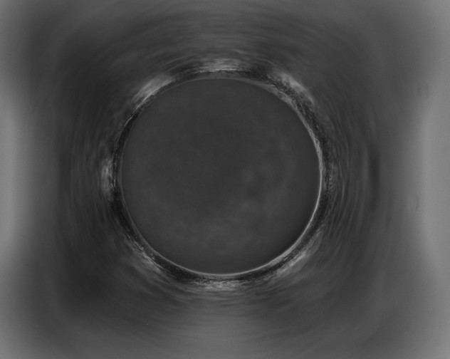 X0000086881353200704161212