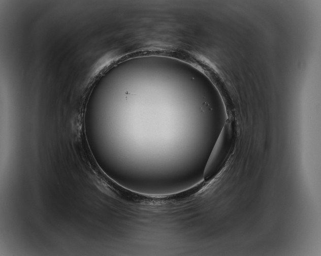 X0000086881355200704161212