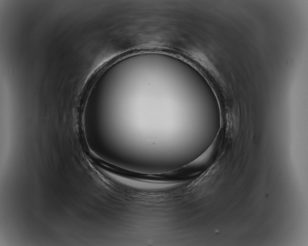 X0000086881356200704161212