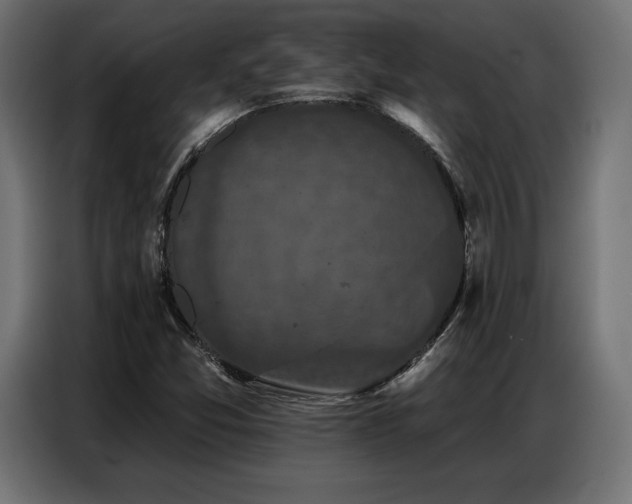 X0000086881357200704161212