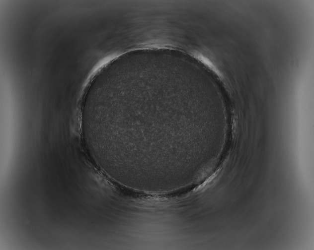 X0000086881358200704161211