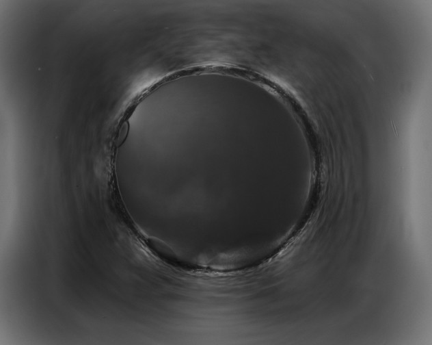 X0000086881359200704161211