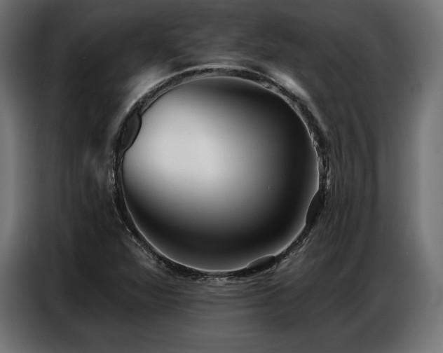 X0000086881360200704161211