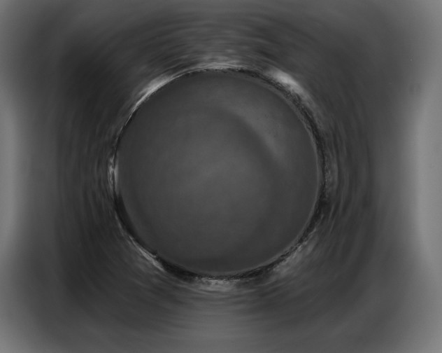 X0000086881361200704161211