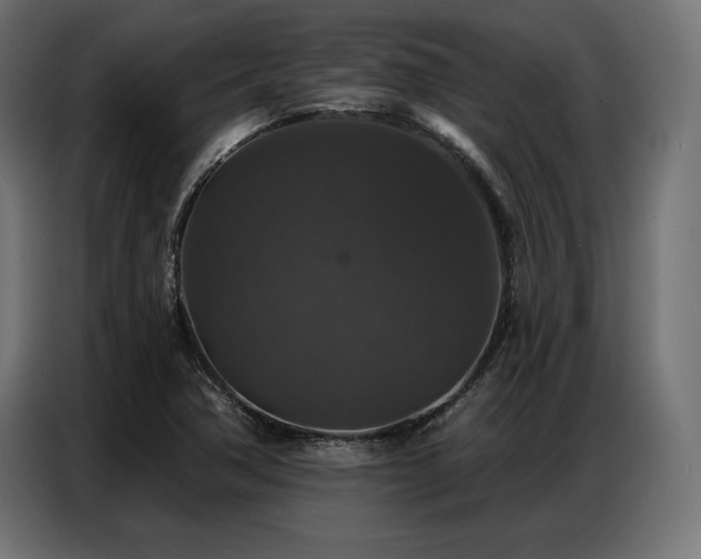 X0000086881362200704161211