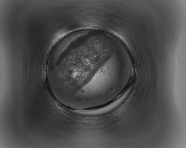 X0000086881363200704161211