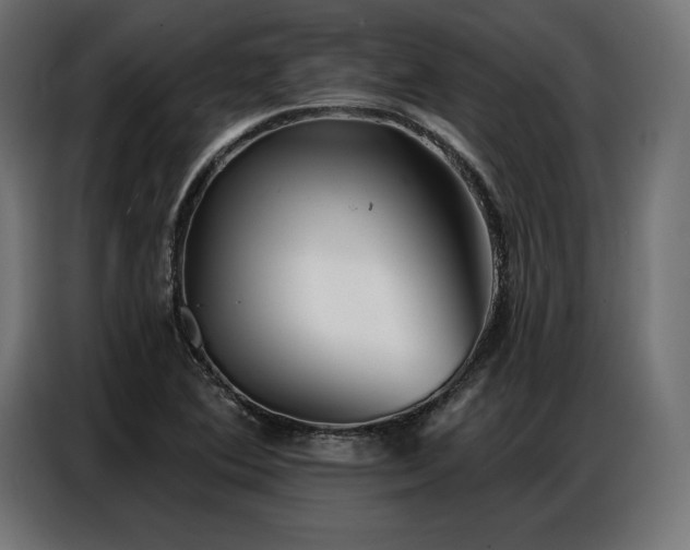 X0000086881364200704161211