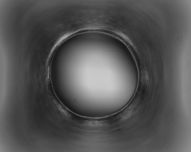 X0000086881366200704161211