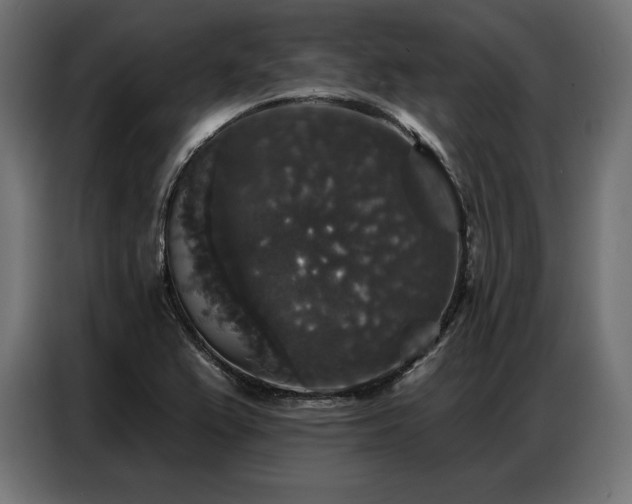 X0000086881367200704161211