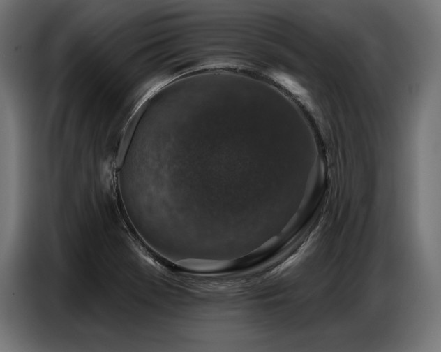 X0000086881369200704161211