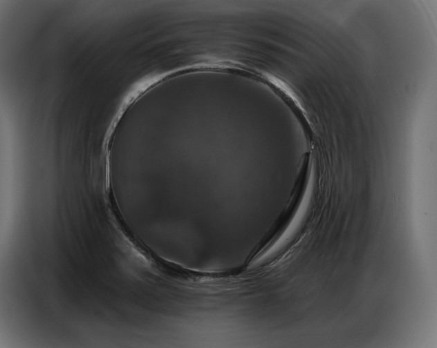 X0000086881371200704161211