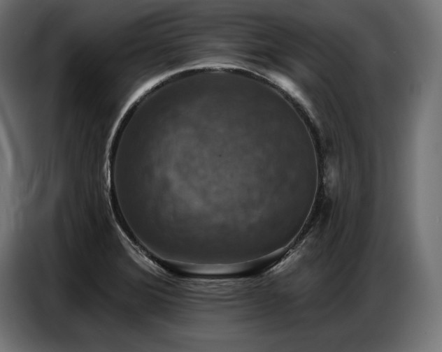 X0000086881372200704161211