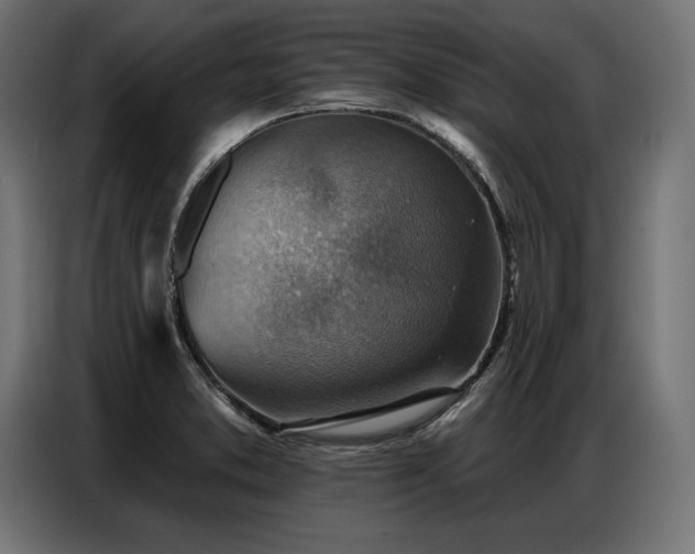 X0000086881373200704161211